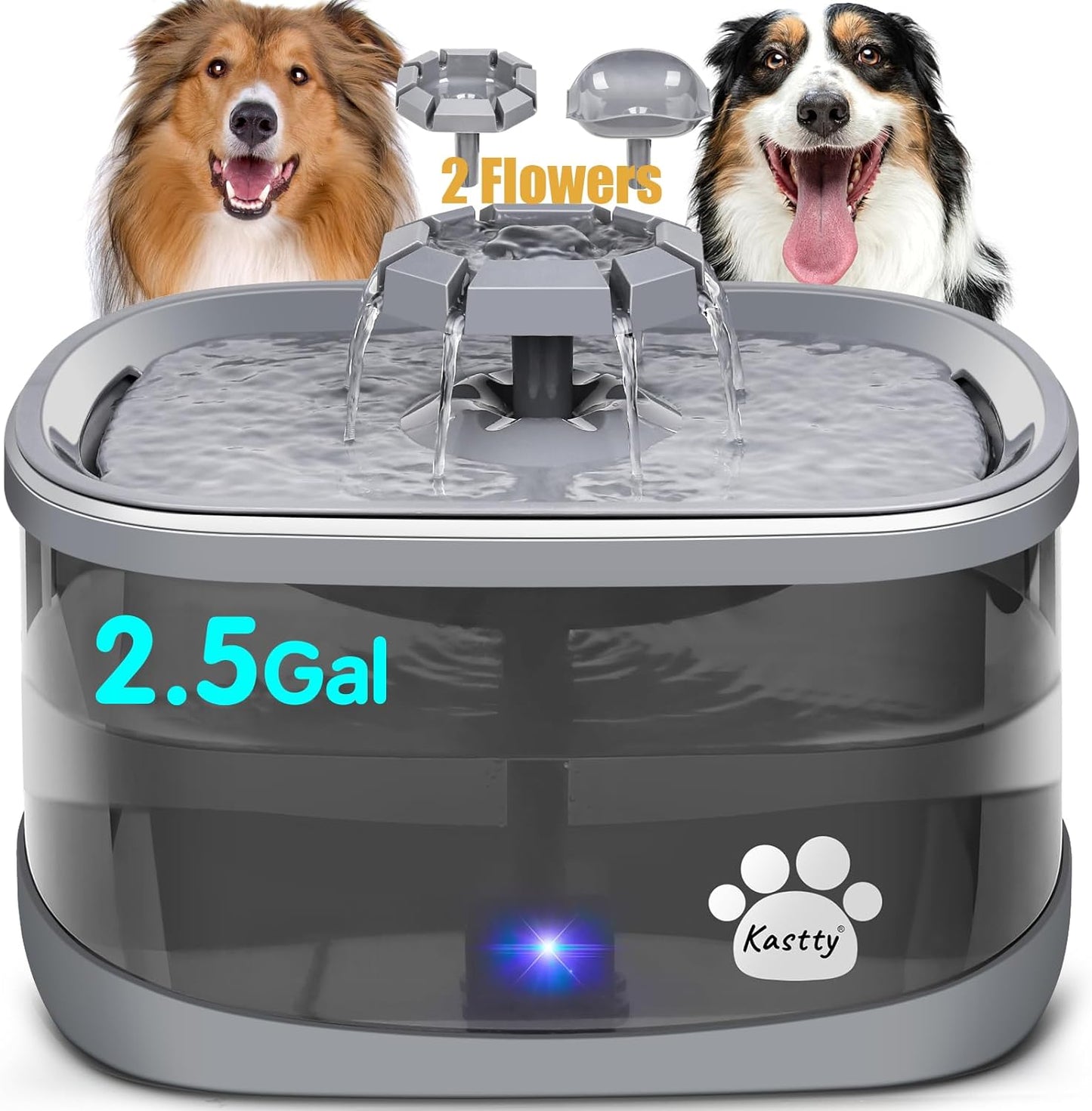 Kastty 2.5Gal/9.5L Dog Water Fountain