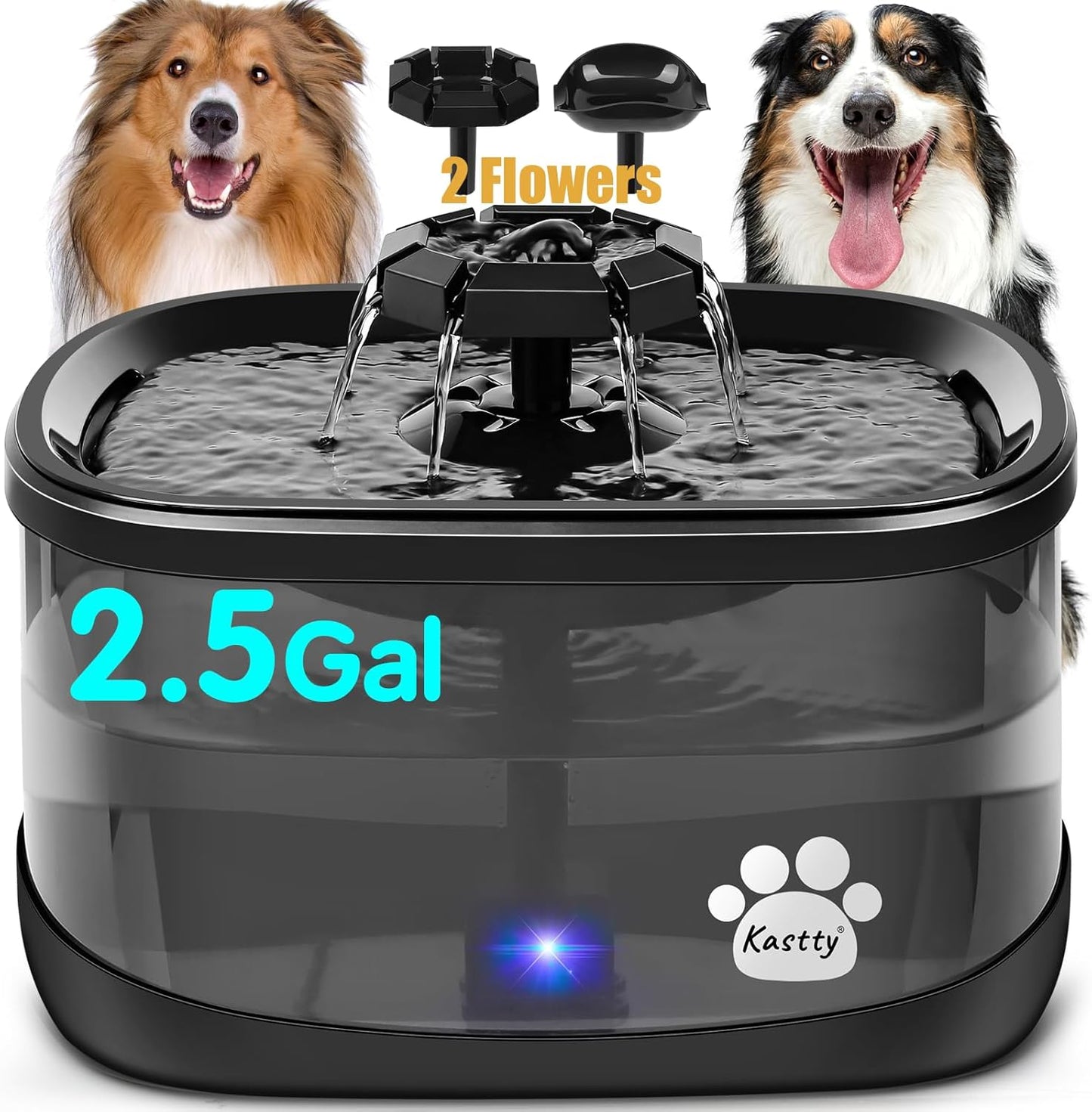 Kastty 2.5Gal/9.5L Dog Water Fountain