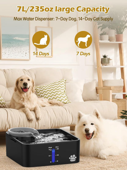 Kastty 2 Gallon Dog Water Fountain