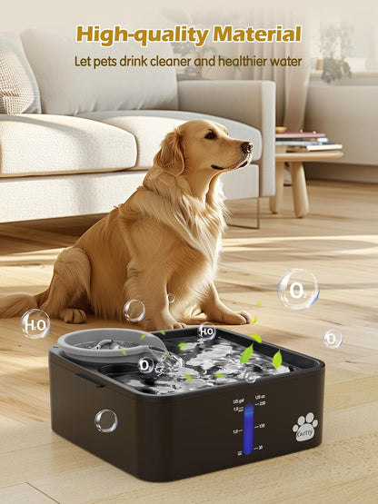 Kastty 2 Gallon Dog Water Fountain